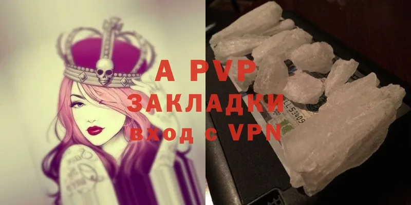 Alfa_PVP СК  Вологда 