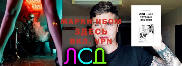 мдпв Майский