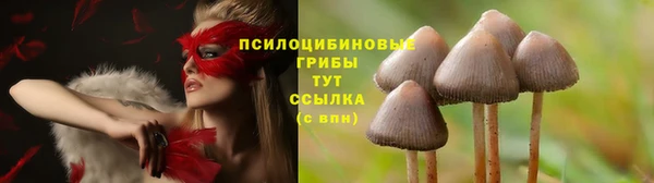 ALPHA PVP Магадан
