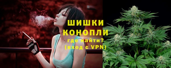 мдпв Майский