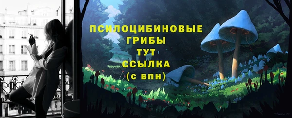 мдпв Майский