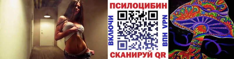 Галлюциногенные грибы Psilocybine cubensis  Вологда 