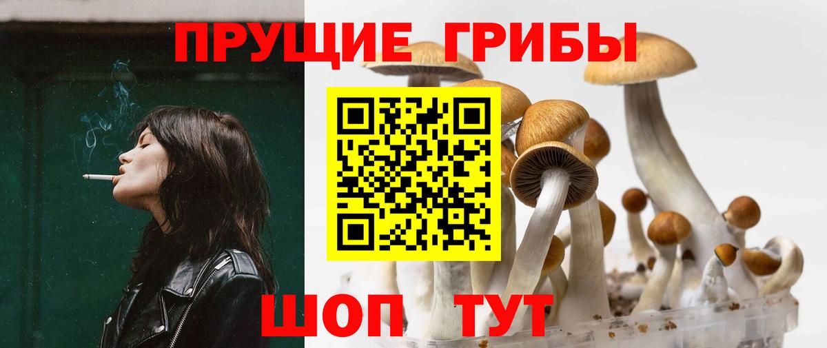 Галлюциногенные грибы прущие грибы Вологда