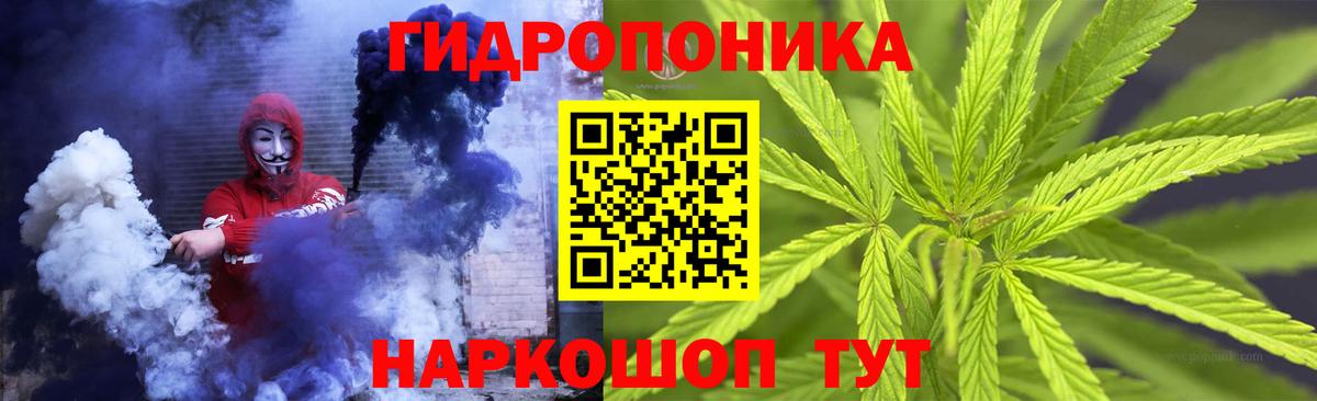 Канабис планчик Вологда
